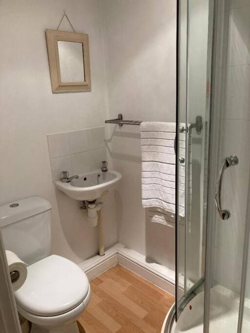 Studio Annexe With Separate Shower Room Broadhempston Bagian luar foto